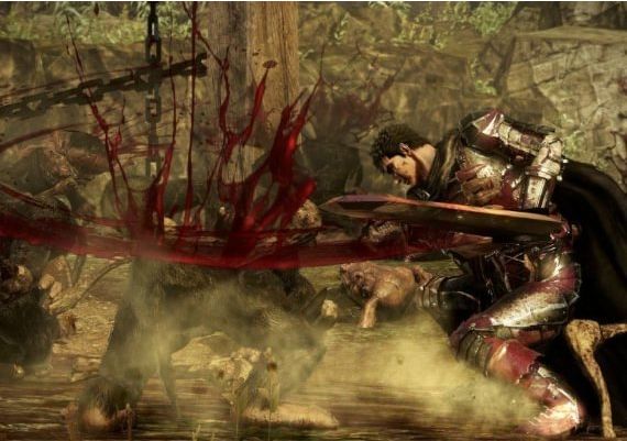 BERSERK and the Band of the Hawk EN/JA Global Steam Digital Key