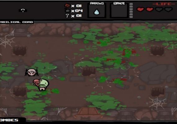 The Binding Of Isaac + Wrath of the Lamb EN Global Steam Digital Key