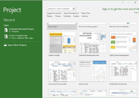 Project Professional 2013 EN Global MS Products Digital Key