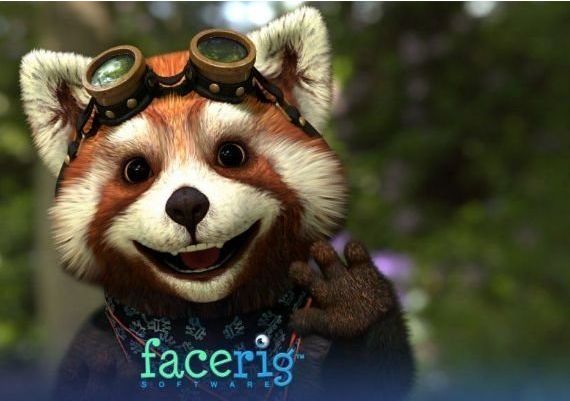 FaceRig EU Steam Digital Key