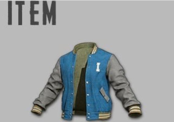 PUBG PlayerUnknown's Battlegrounds: Intel Jacket DLC EN Global Steam Digital Key