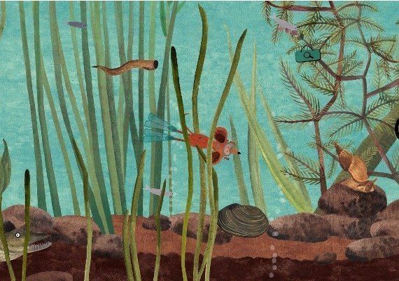 Little Mouse's Encyclopedia EN Argentina Xbox One/Series Digital Key