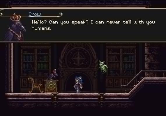 Timespinner EN Global Steam Digital Key