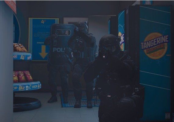 Ready Or Not EN RU/CIS Steam Digital Key