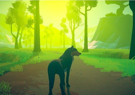 Lupa EN Global Steam Digital Key