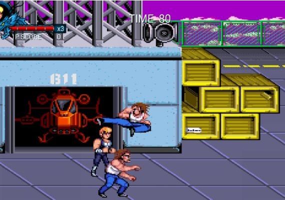 Double Dragon Trilogy Global Steam Digital Key