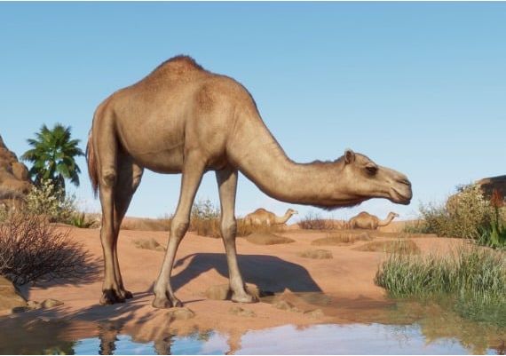 Planet Zoo - Arid Animal Pack DLC EU Steam Digital Key
