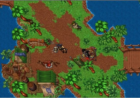 Ravendawn - RavenCoins 17500 RavenCoins Official website Digital Key