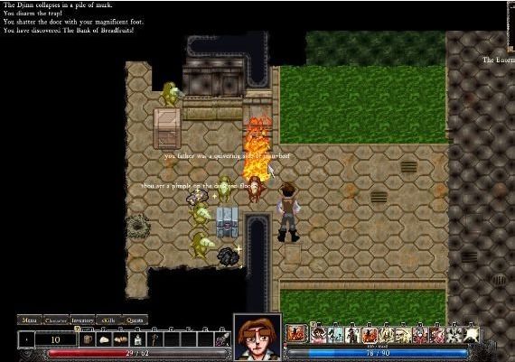 Dungeons of Dredmor EN Global Steam Digital Key