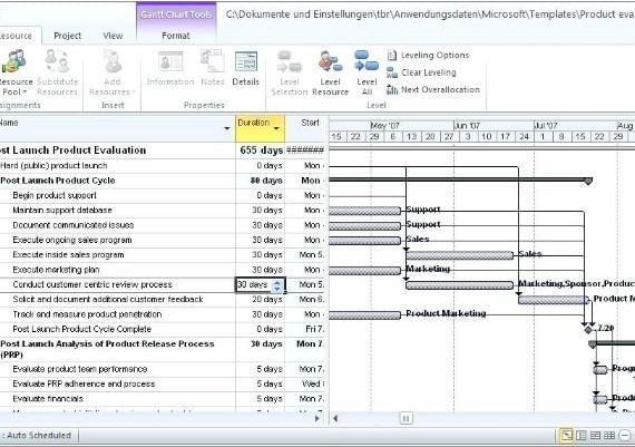 Project Professional 2021 for 5 PC EN Global MS Products Digital Key