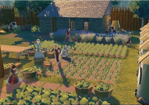 Going Medieval EU Steam Digital Key