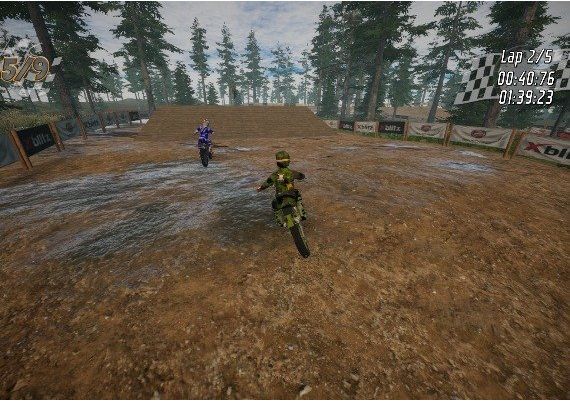 Dirt Bike Insanity EN Global Steam Digital Key