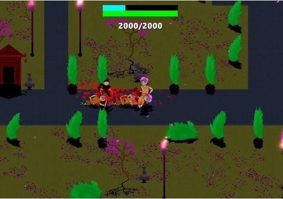 Anime Fight in the Arena of Death EN/RU Global Steam Digital Key