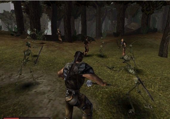 Gothic Universe Edition EN/DE/ES EU Steam Digital Key