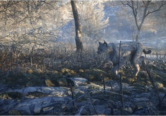 theHunter: Call of the Wild - Medved-Taiga DLC Global Steam Digital Key