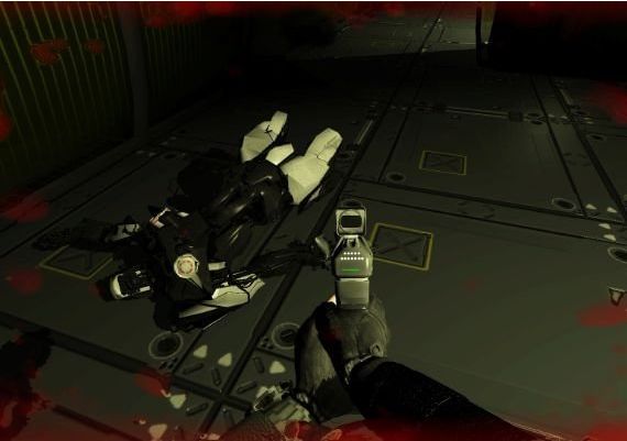 Stealth Labyrinth EN Global Steam Digital Key