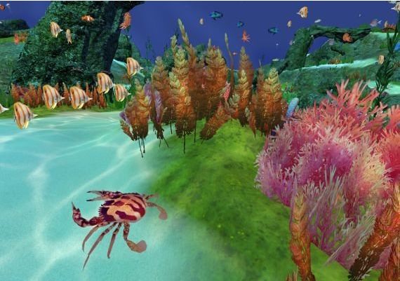 Fancy Fishing VR EN Global Steam Digital Key