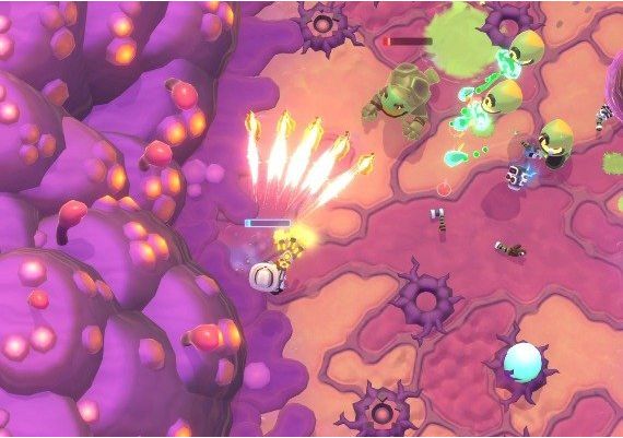 TombStar EN/DE/FR/ZH Global Steam Digital Key