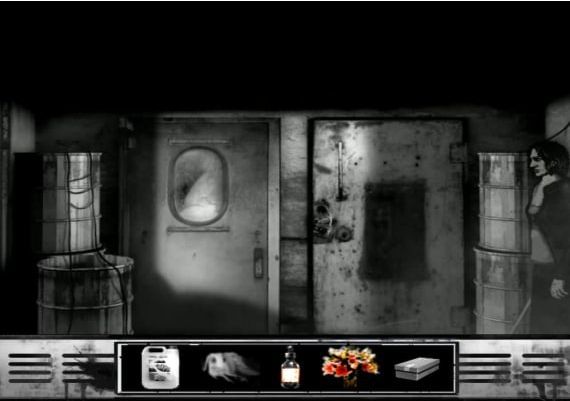 The Cat Lady EN/DE/FR/IT/PT/ES/HU/FI Global Steam Digital Key