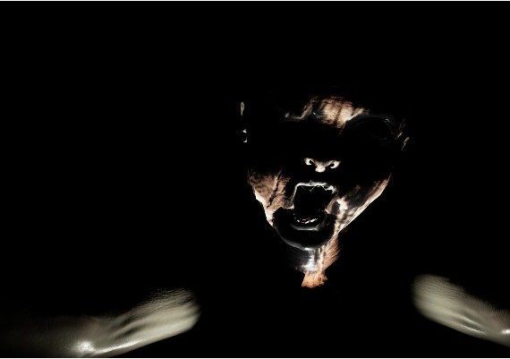 Emily Wants to Play Too EN Global Steam Digital Key