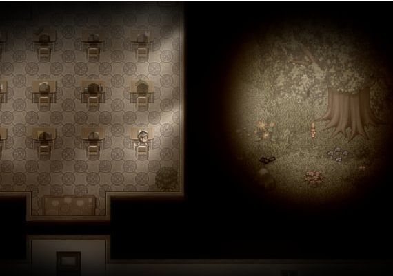 A Bird Story Global Steam Digital Key