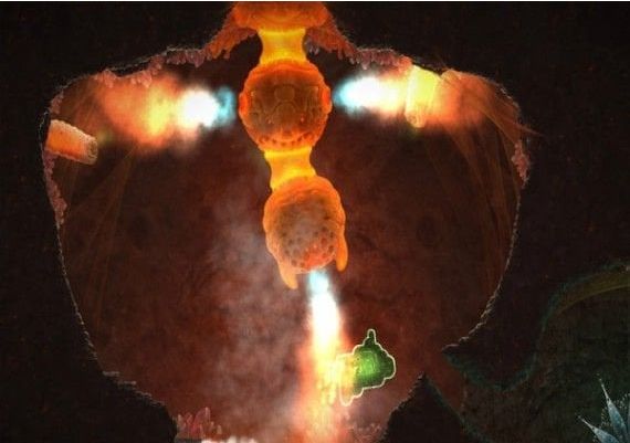 Mushroom 11 EN Global Steam Digital Key