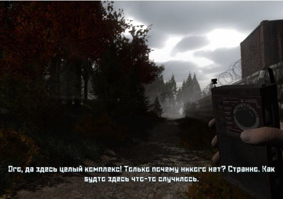 Noise EN/RU Global Steam Digital Key