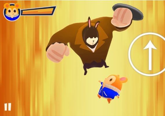 Hamsterdam Global Steam Digital Key