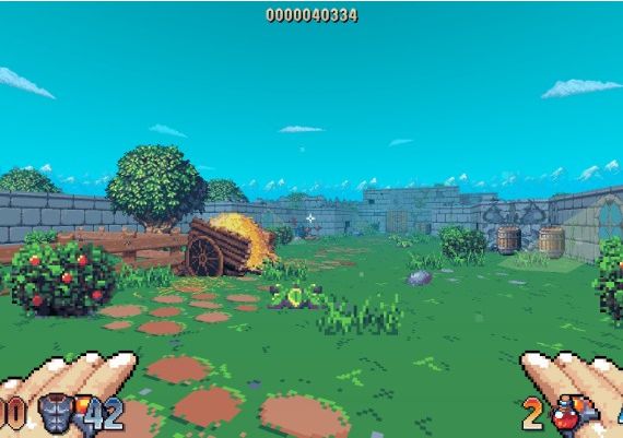 Wizordum EN Global Steam Digital Key