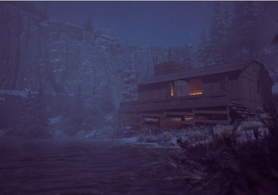 Winter Survival Global Steam Digital Key