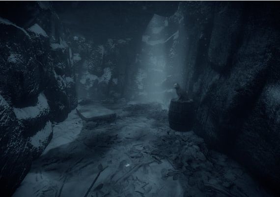 ShadowSide EN/PT/RU Global Steam Digital Key