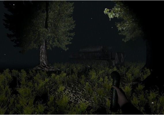 Necro Immortallis EN Global Steam Digital Key