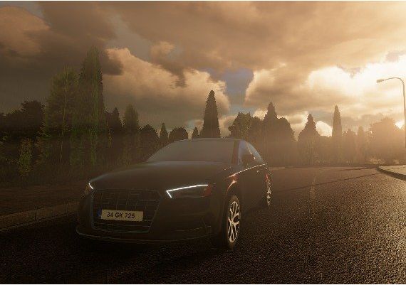 Drive 21 EN/TR Global Steam Digital Key