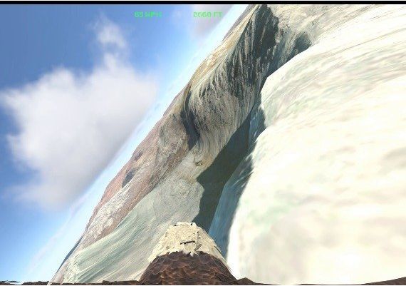 Aquila Bird Flight Simulator EN Global Steam Digital Key