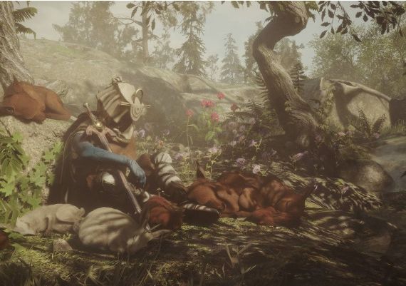 Soulframe - Closed Beta EN Global Official website Digital Key