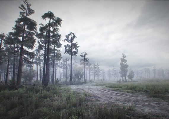 35MM EN EU Xbox One/Series Digital Key