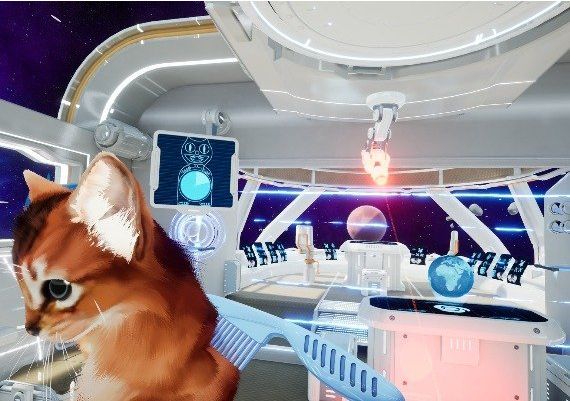 Kitten'd Global Steam Digital Key