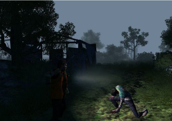 How To Survive: Third Person Standalone EN/DE/FR/IT/JA/RU/ES Global Steam Digital Key