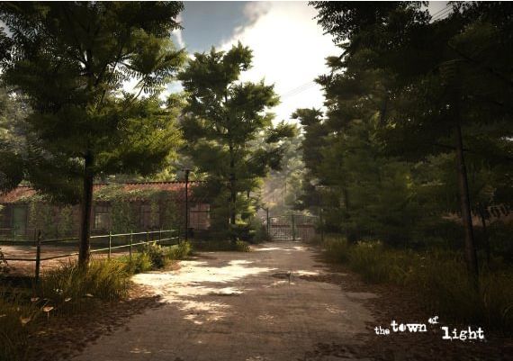 The Town of Light EN/DE/FR/IT/PT/ES/EL/UK Global Steam Digital Key