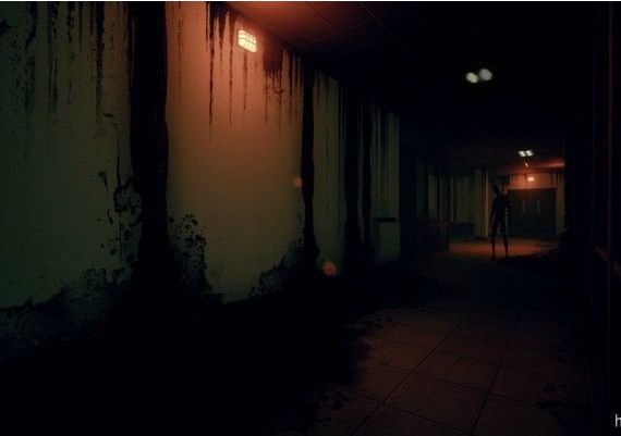 Husk EN/DE/FR/IT Global Steam Digital Key