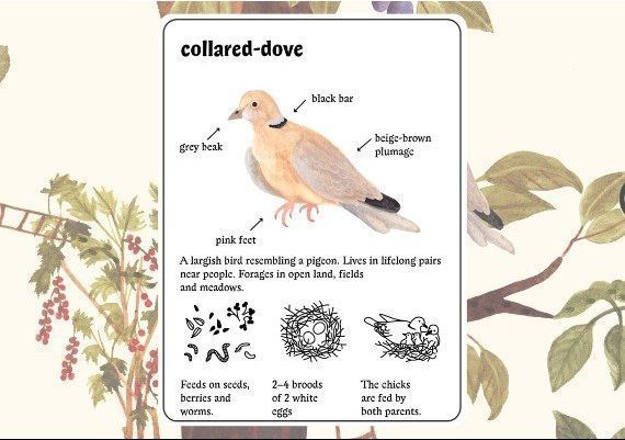 Little Mouse's Encyclopedia + Cyber Protocol - Bundle EN Argentina Xbox One/Series Digital Key