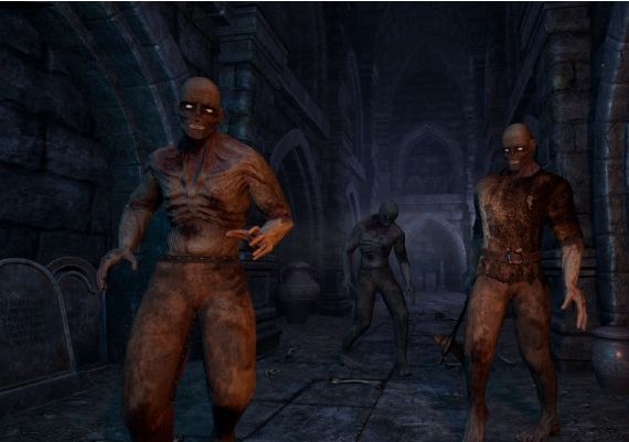 Monomyth EN Global Steam Digital Key