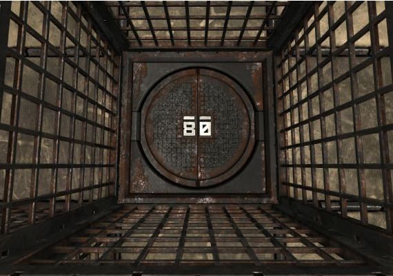 Neverout EN Global Steam Digital Key