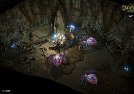 Pathfinder: Kingmaker Imperial Edition EN/DE/FR/RU/ZH Global Steam Digital Key