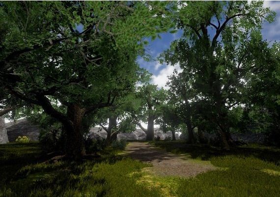 Dream Stone EN/TR Global Steam Digital Key