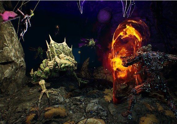 Arboria EN Global Steam Digital Key