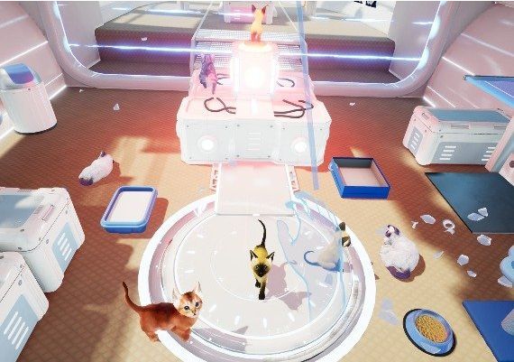 Kitten'd Global Steam Digital Key