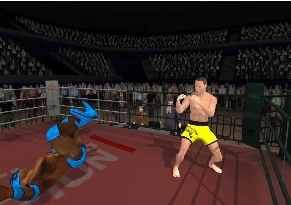 Wrestlers Without Boundaries EN/DE/PT/RU/ZH Global Steam Digital Key