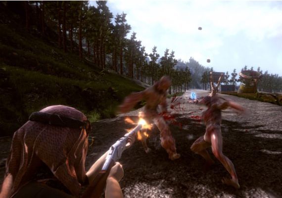 Welcome to Princeland Global Steam Digital Key