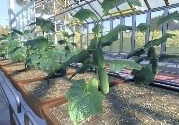 Farmer's Dynasty Global Steam Digital Key